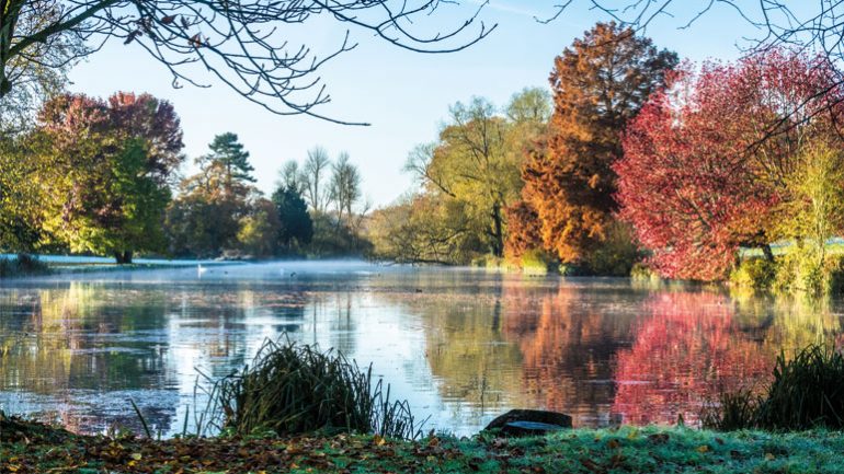 Dazzling autumn colour walks with the National Trust in Hampshire