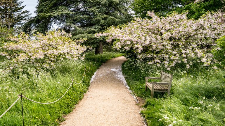 Celebrating blossom with the National Trust 