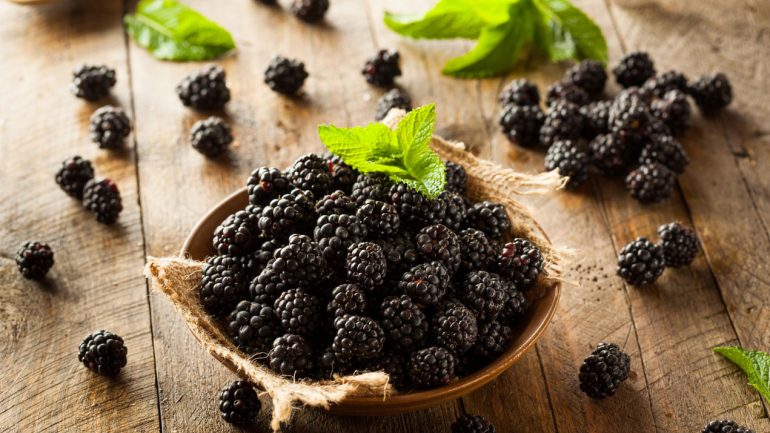 How to grow your own blackberries
