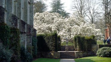 6 Spring moments not to miss with the National Trust
